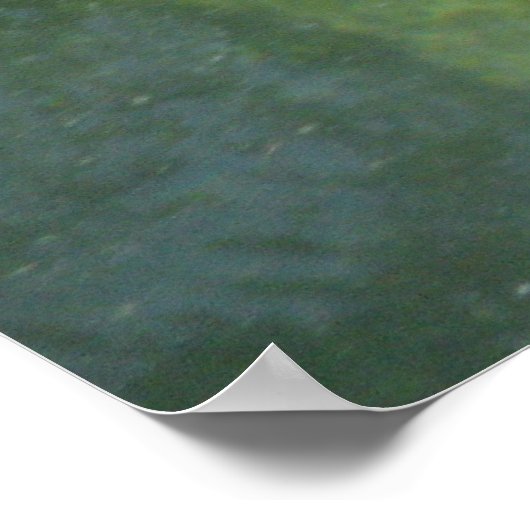 Manatee Smiles Poster (Ecke)