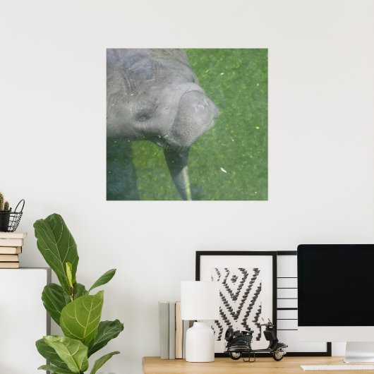 Manatee Smiles Poster (Heimbüro)