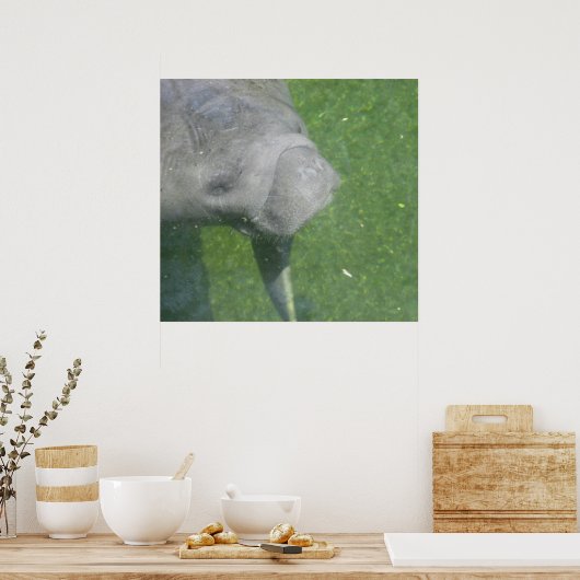 Manatee Smiles Poster (Küche)