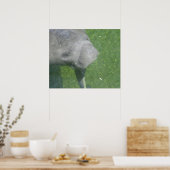 Manatee Smiles Poster (Küche)