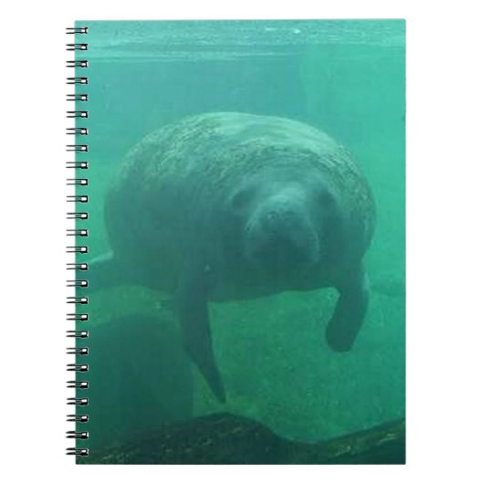 Manatee Spiral Foto Notebook Notizblock (Vorderseite)