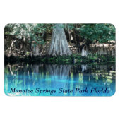 Manatee Springs Fl Flexi Magnet (Horizontal)