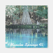 Manatee Springs Fl Magnet (Vorne)