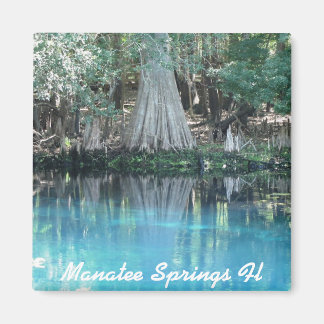 Manatee Springs Fl Magnet