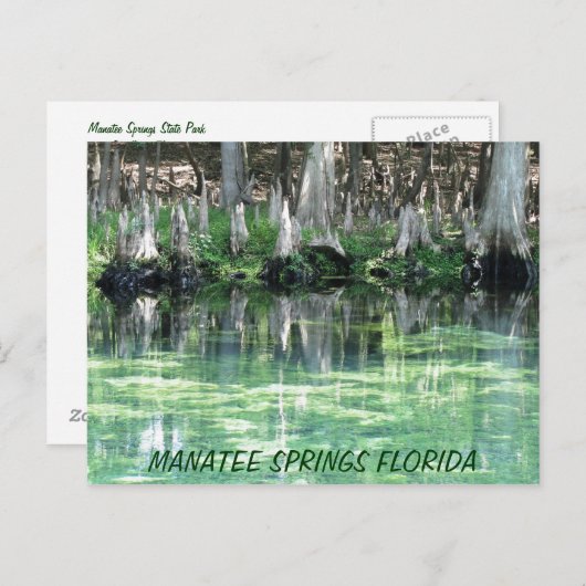 Manatee Springs Fl Postcard Postkarte (Vorne/Hinten)