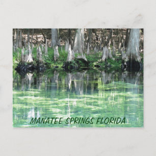 Manatee Springs Fl Postcard Postkarte