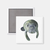 Manatee Springs Magnet (Vorderseite/Rückseite)