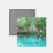 Manatee Springs Magnet (Vorderseite/Rückseite)