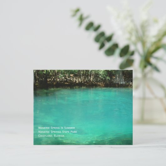 Manatee Springs Postcard Postkarte (Stehend Vorderseite)