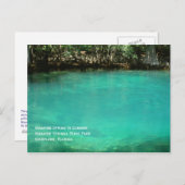 Manatee Springs Postcard Postkarte (Vorne/Hinten)