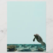 Manatee Stationary (Vorderseite)