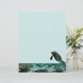 Manatee Stationary (Stehend Vorderseite)