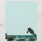 Manatee Stationary (Vorne/Hinten)