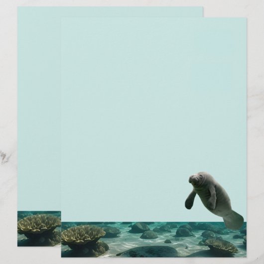 Manatee Stationary (Vorne/Hinten)
