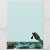 Manatee Stationary (Rückseite)