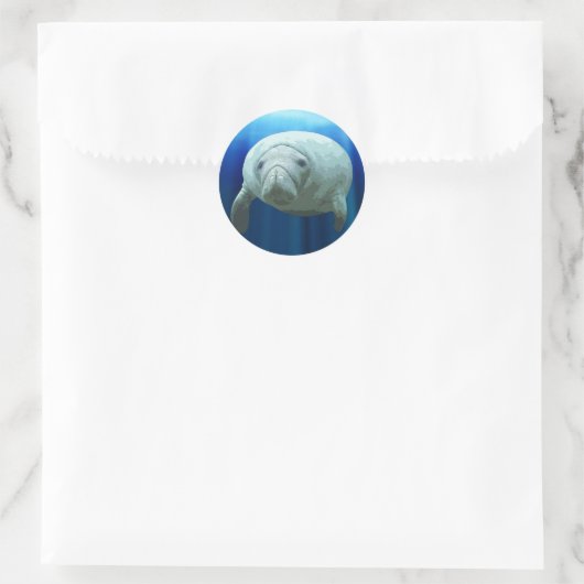 Manatee Sticker (Tasche)