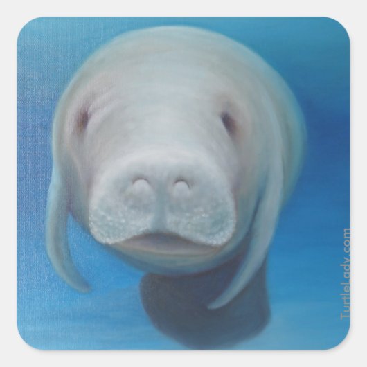 Manatee Stickers (Vorderseite)