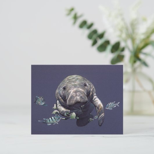 Manatee Underwater World Postkarte (Stehend Vorderseite)