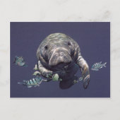 Manatee Underwater World Postkarte (Vorderseite)