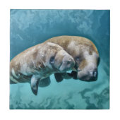 Manatees Fliese (Vorderseite)