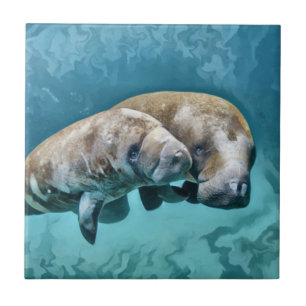 Manatees Fliese