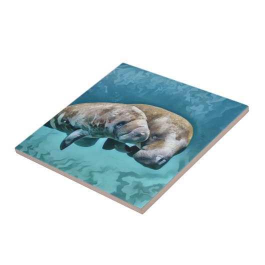 Manatees Fliese (Seite)
