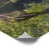 Manatees Poster (Ecke)