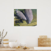 Manatees Poster (Küche)