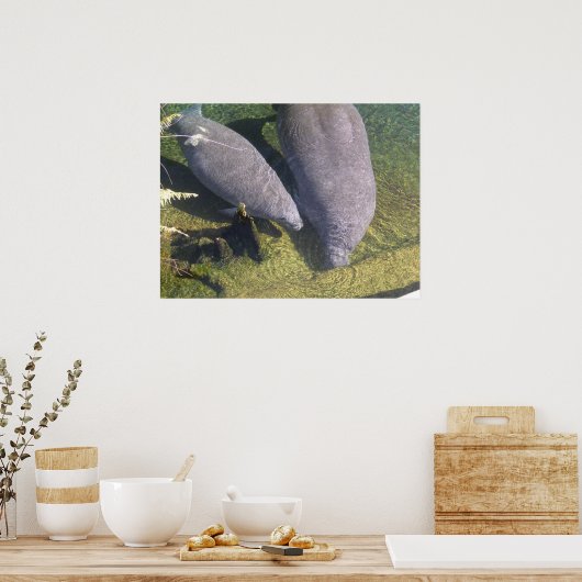 Manatees Poster (Küche)