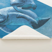 Manatees Sherpadecke (3/4)