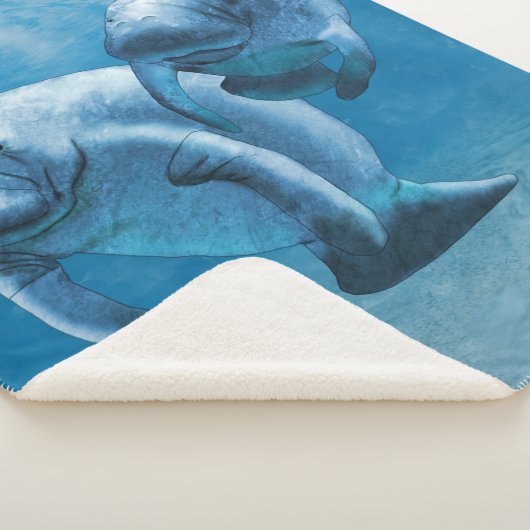 Manatees Sherpadecke (3/4)