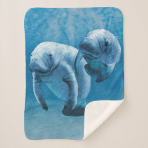 Manatees Sherpadecke
