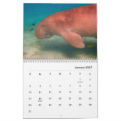 Manatees Wall Calendar Kalender (Jan 2027)