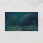 Manatewurzel in Sand Visitenkarte (Rückseite)