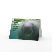 Manatis-Geburtstags-Letztstück von Kuchen Dame -