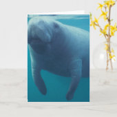 Manatis-Gruß-Karte Karte (Gelbe Blume)