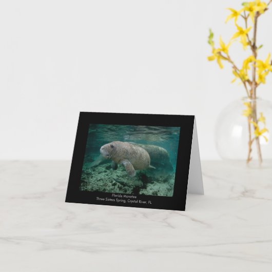 Manatis-Kalb Karte (Gelbe Blume)