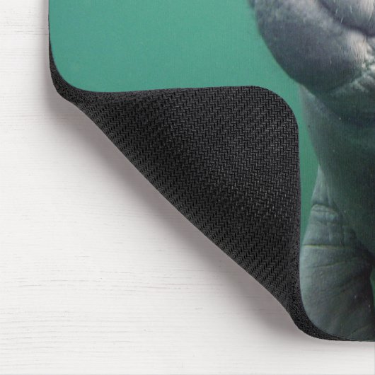 Manatis Mousepad (Ecke)