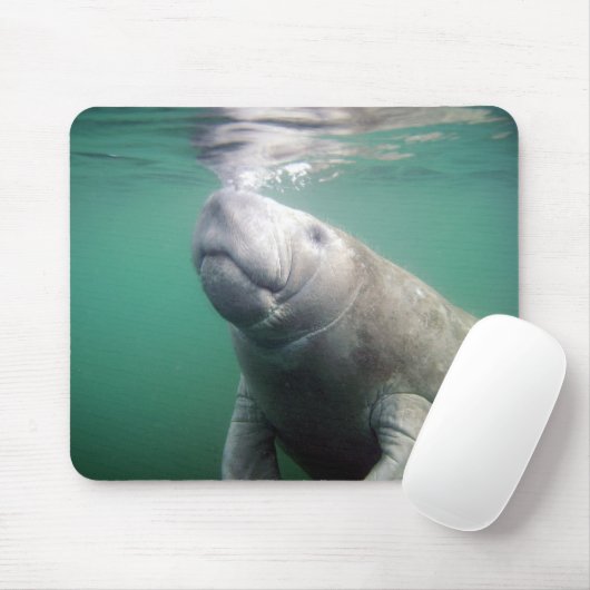 Manatis Mousepad (Mit Mouse)