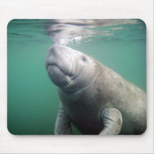 Manatis Mousepad