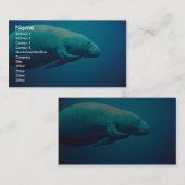 Manatis-Verkratzen Visitenkarte (Vorne/Hinten)