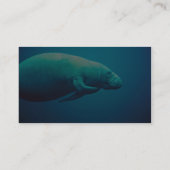 Manatis-Verkratzen Visitenkarte (Rückseite)