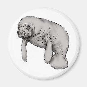Manatiskunst Magnet