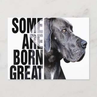 Manche sind bei Great Dane Lover Dog Lover Geboren Ankündigungspostkarte