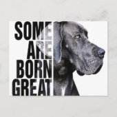 Manche sind bei Great Dane Lover Dog Lover Geboren Ankündigungspostkarte (Vorderseite)