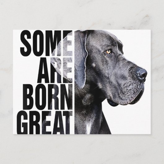 Manche sind bei Great Dane Lover Dog Lover Geboren Ankündigungspostkarte (Vorderseite)