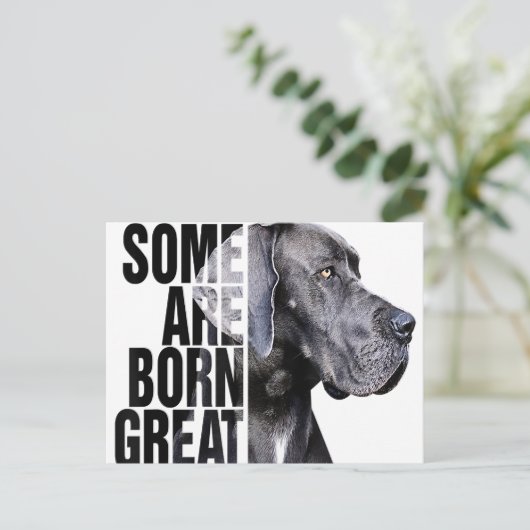 Manche sind bei Great Dane Lover Dog Lover Geboren Ankündigungspostkarte (Stehend Vorderseite)