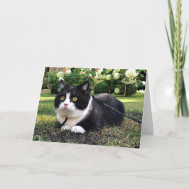 Manchester auf der Naturkarte Karte