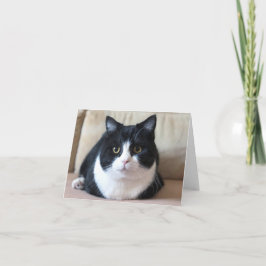 Manchester-Fotokarte Karte