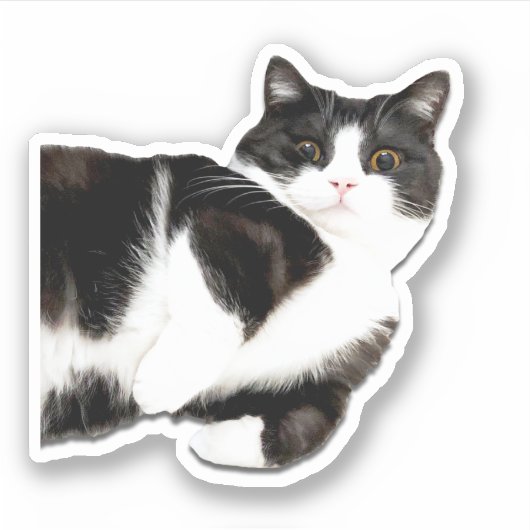 Manchester "Hi!" Aufkleber (Vorderseite)